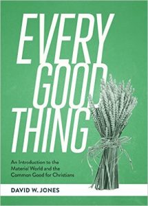 Every Good Thing by David W. Jones