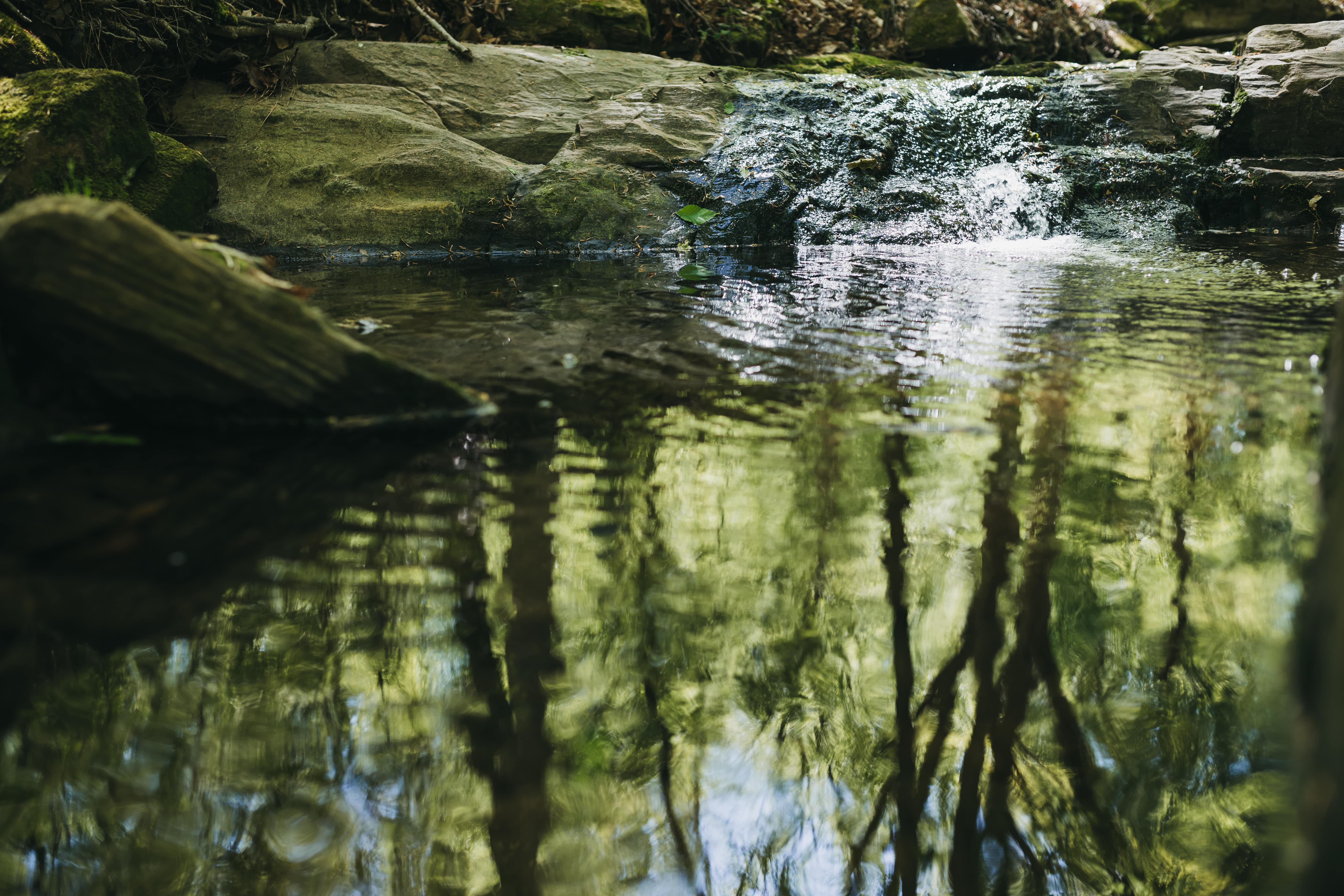 The Humility of Rest - Christ and Culture